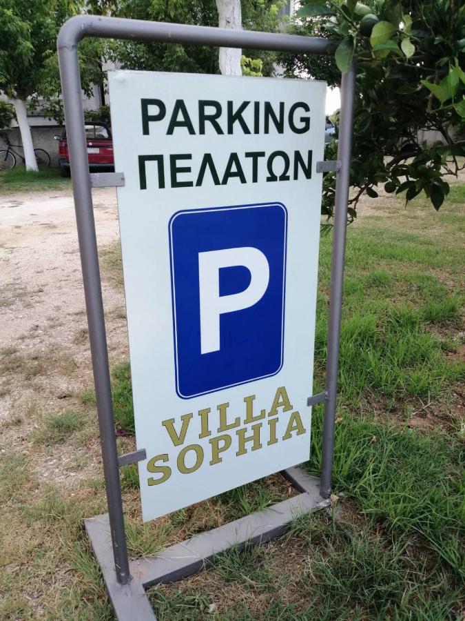Villa Sophia Mytikas (Epirus) Exterior foto